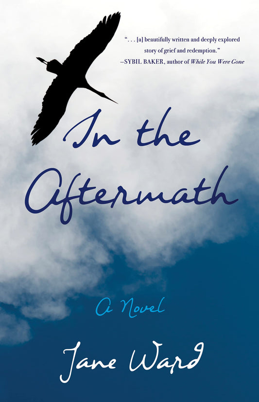 In the Aftermath book cover