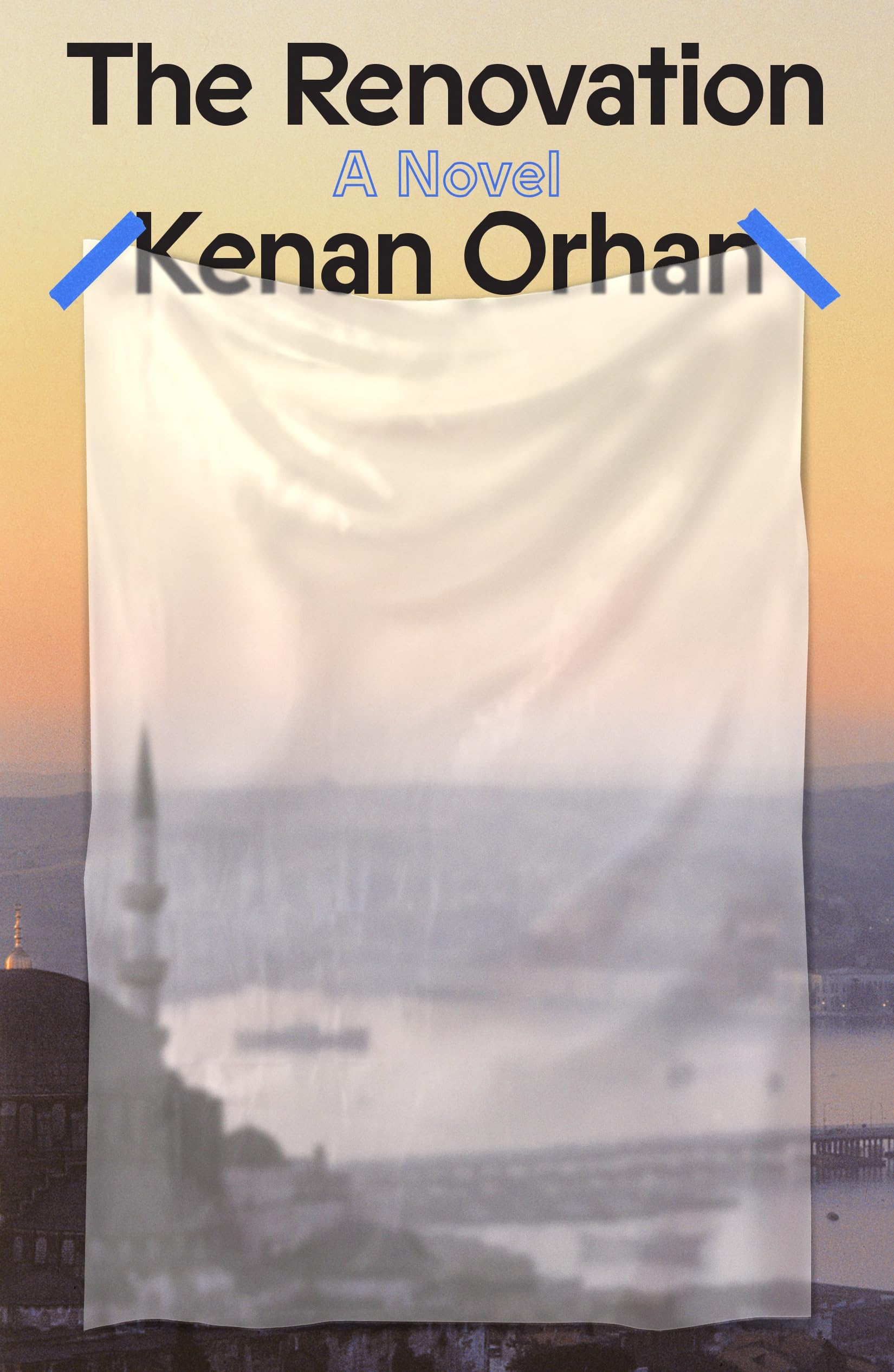 The Renovation book cover