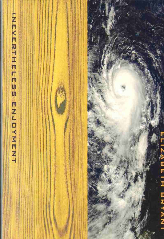 (nevertheless Enjoyment book cover
