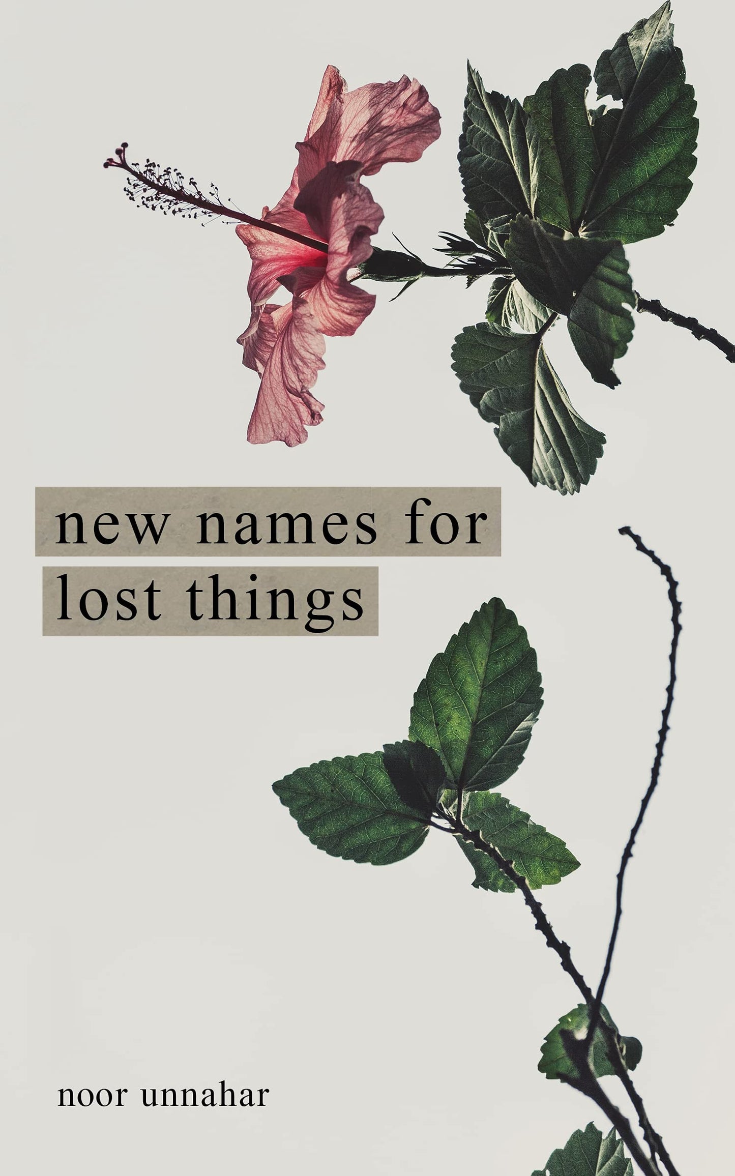 New Names for Lost Things book cover
