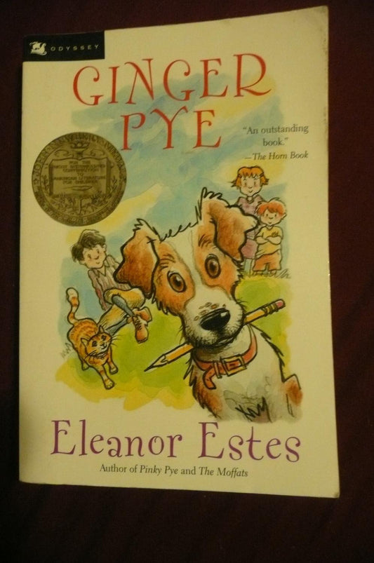 Ginger Pye book cover