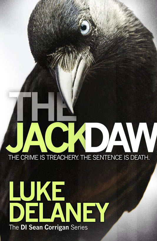 Jackdaw