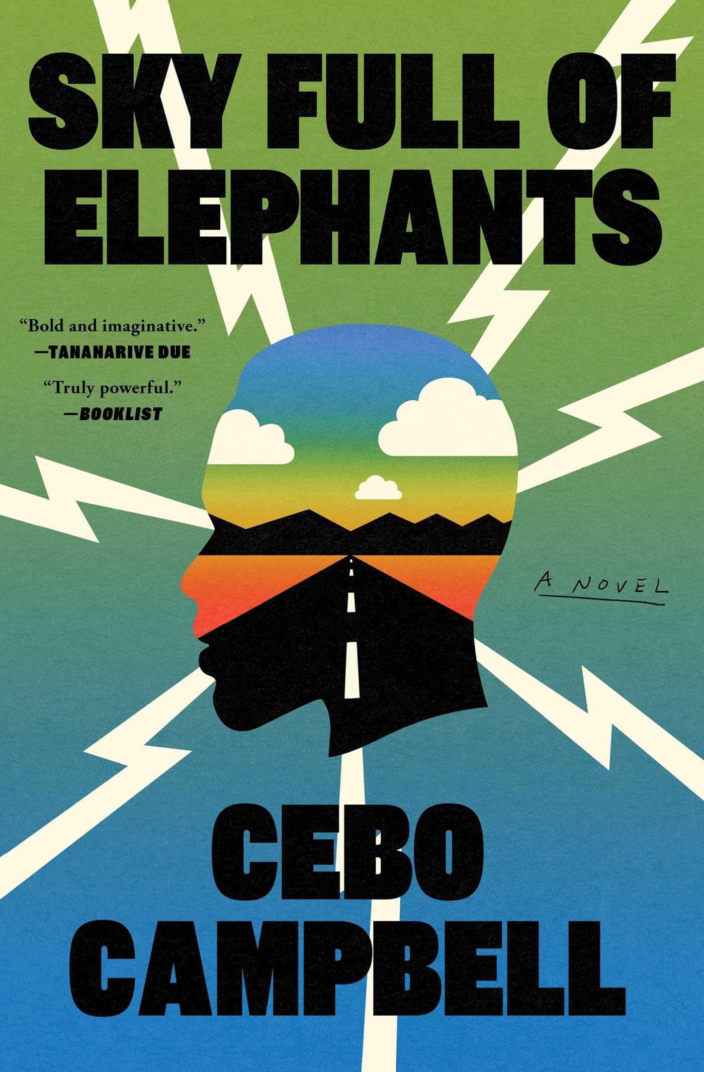 Sky Full of Elephants book cover
