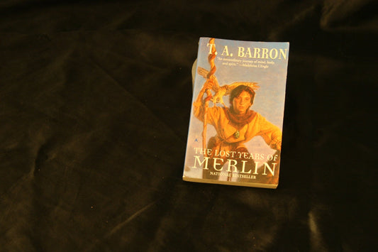 Lost Years of Merlin