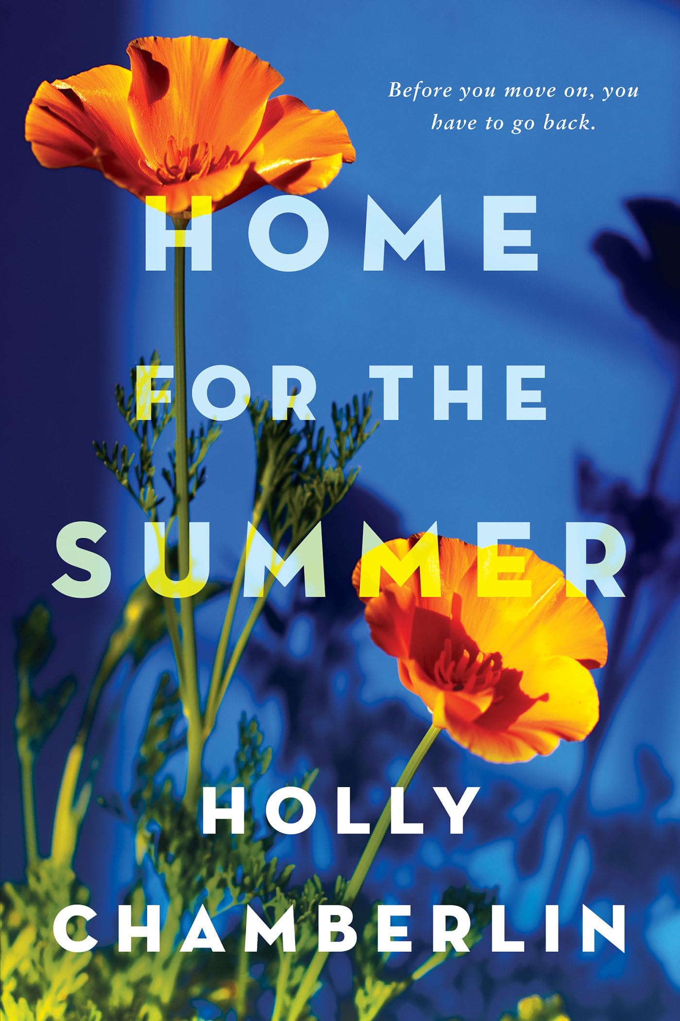 Home for the Summer book cover