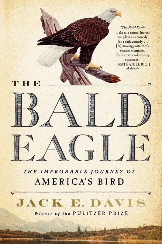 Bald Eagle: The Improbable Journey of America's Bird book cover