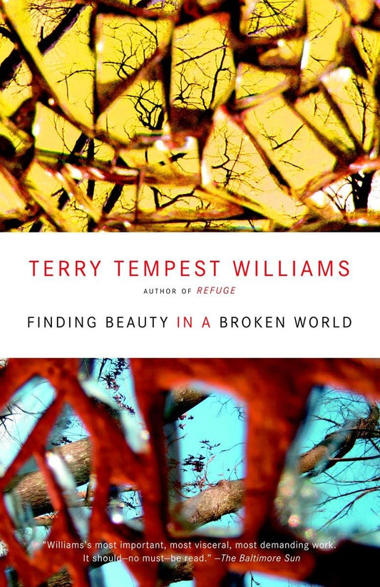 Finding Beauty in a Broken World book cover
