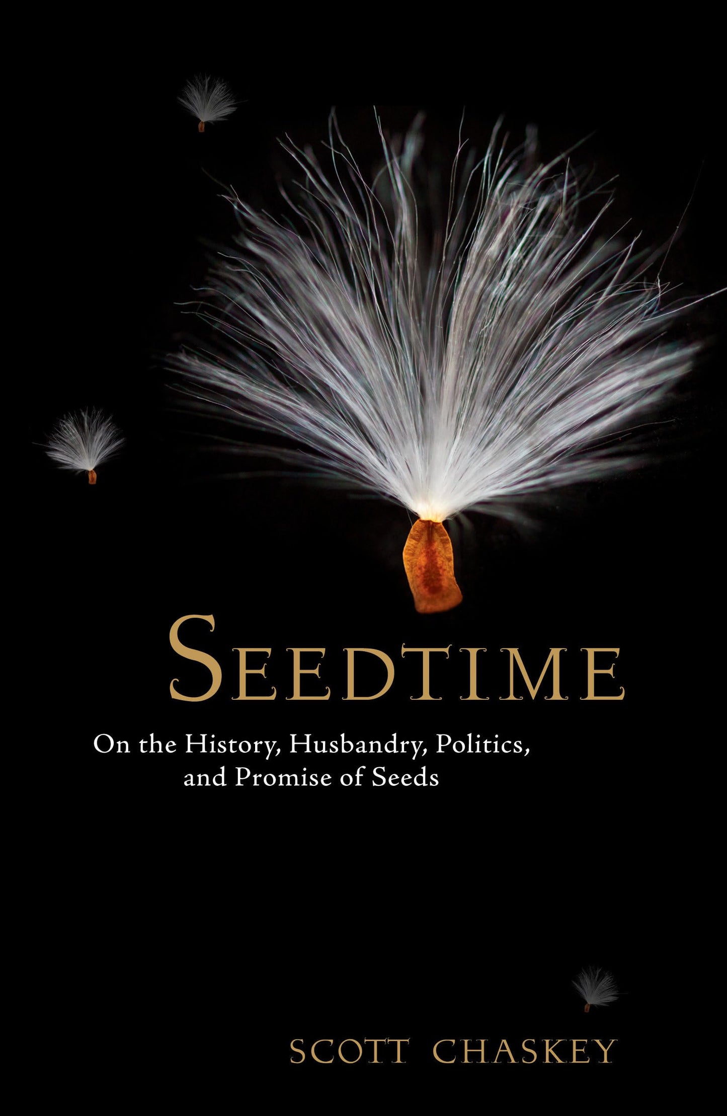Seedtime: On the History, Husbandry, Politics and Promise of Seeds book cover