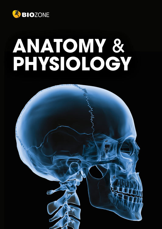 Anatomy & Physiology - Student Edition (3rd Ed)