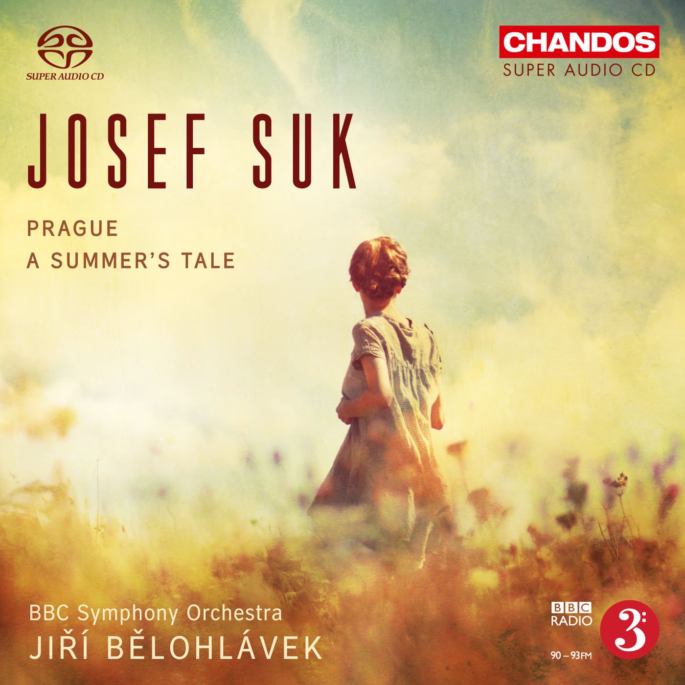 Prague Summer's Tale book cover