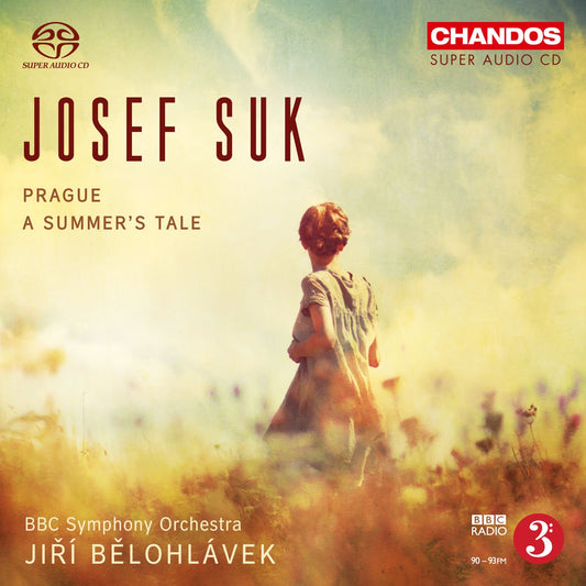 Prague Summer's Tale book cover