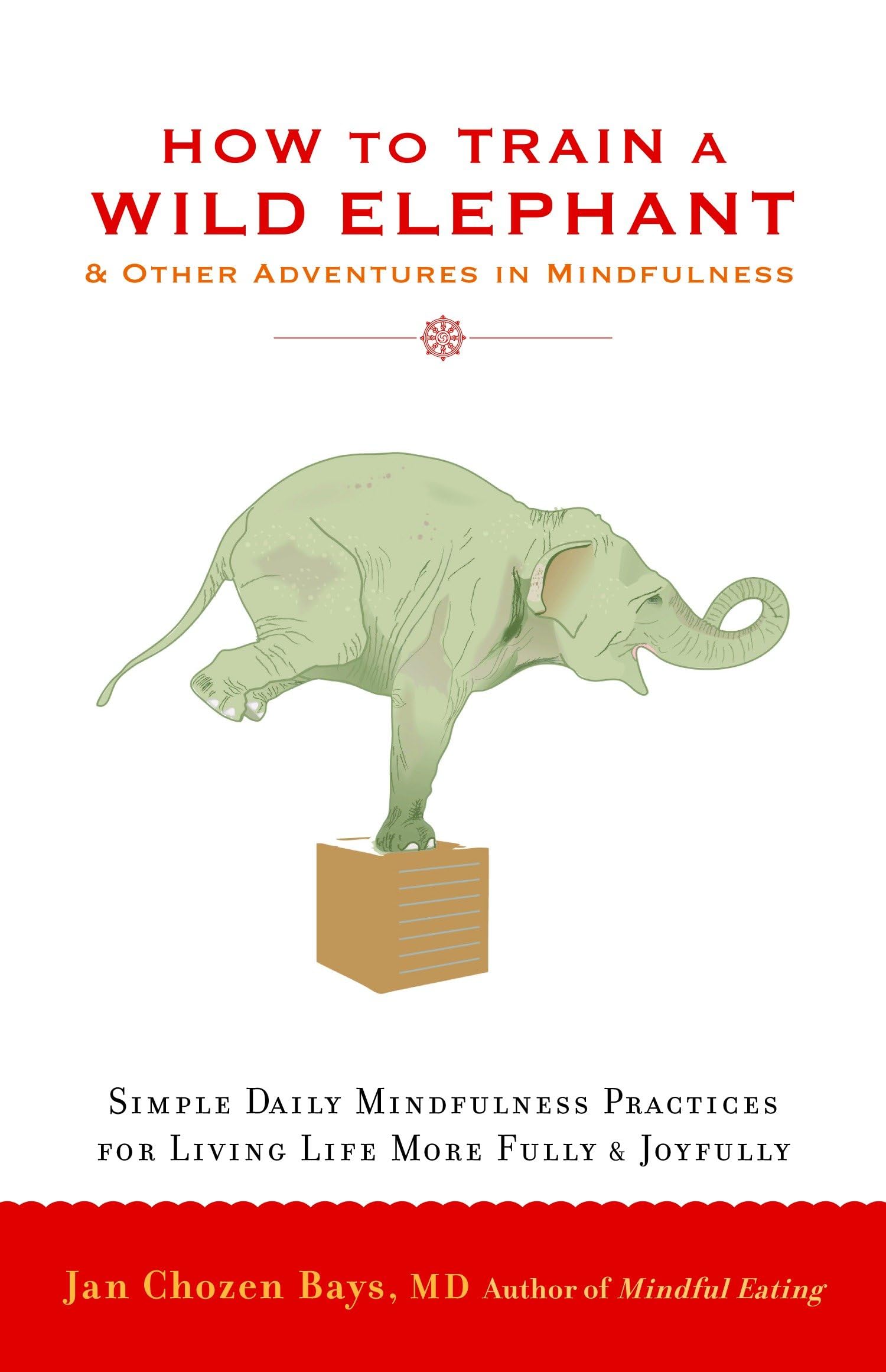 How to Train a Wild Elephant: And Other Adventures in Mindfulness book cover