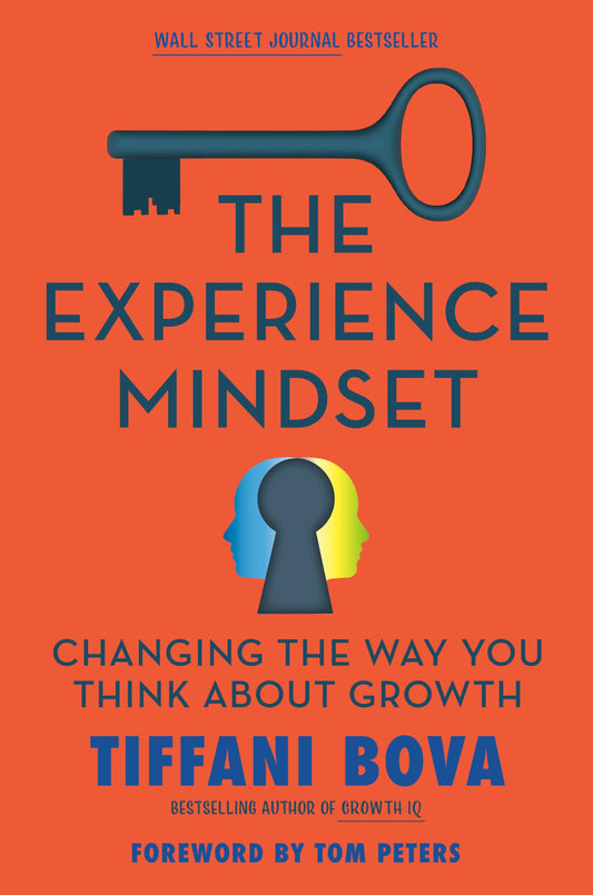 Experience Mindset: Changing the Way You Think about Growth book cover