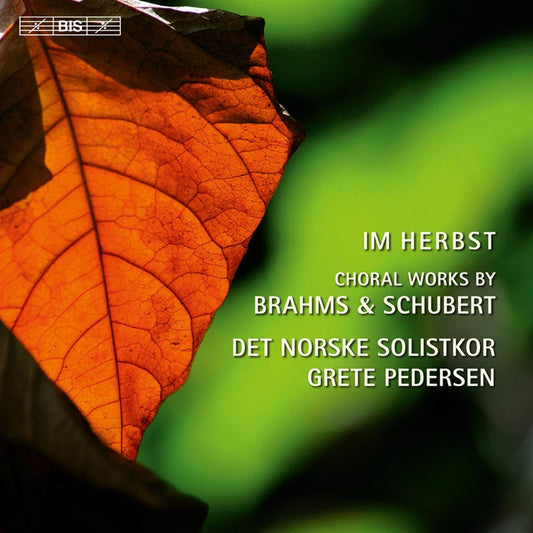 Nine Songs from Zigeunerlieder book cover