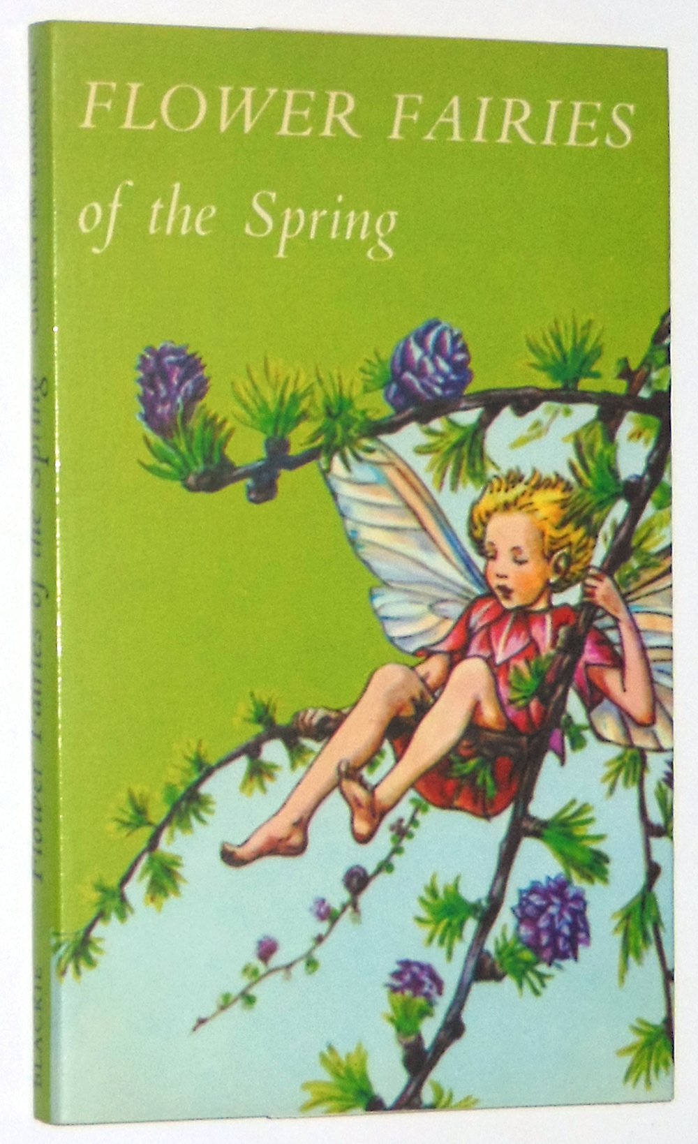 Flower Fairies of the Spring book cover