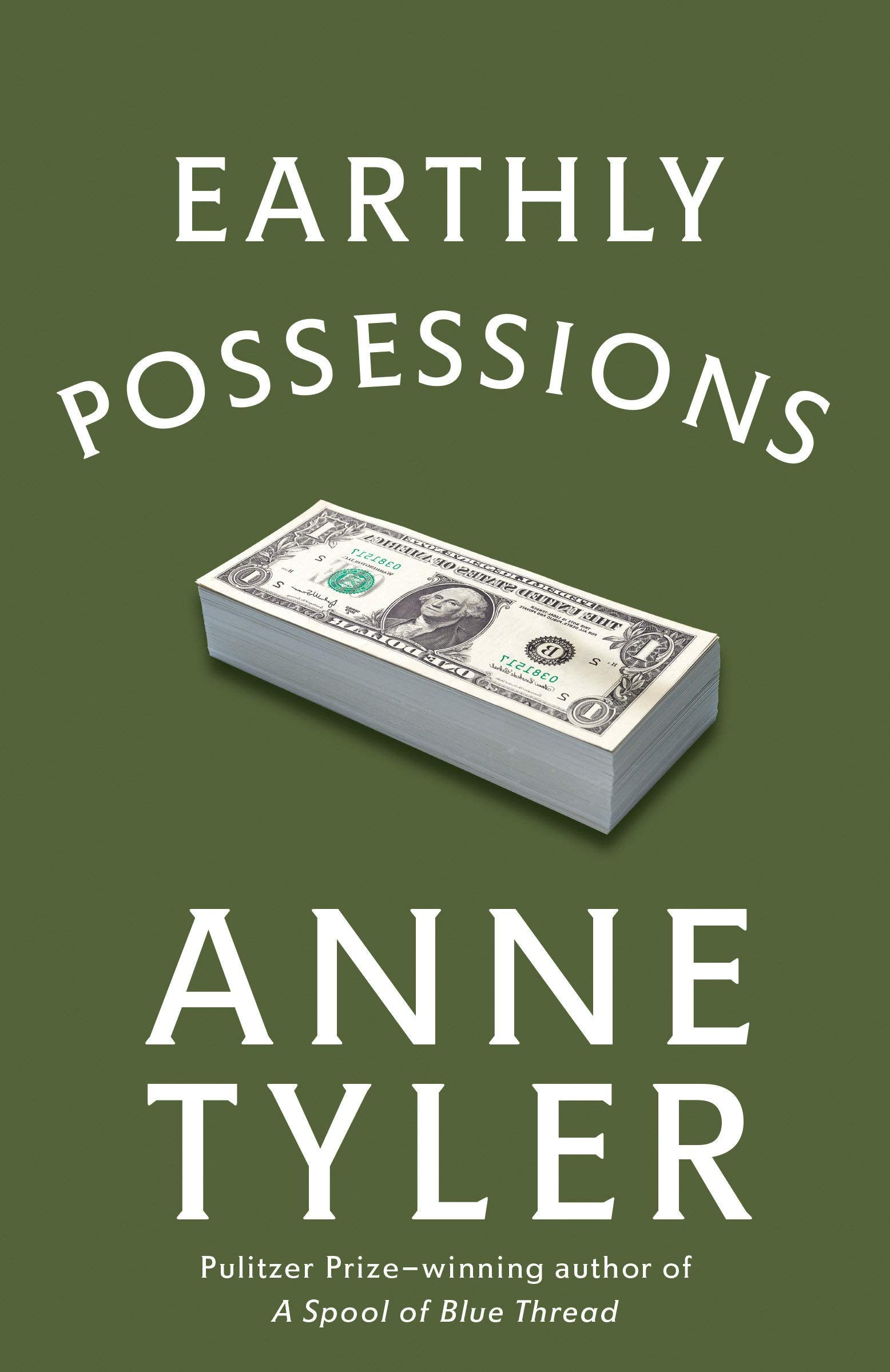 Earthly Possessions book cover