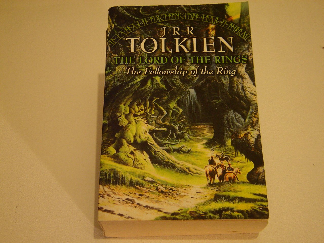 Fellowship of the Ring book cover