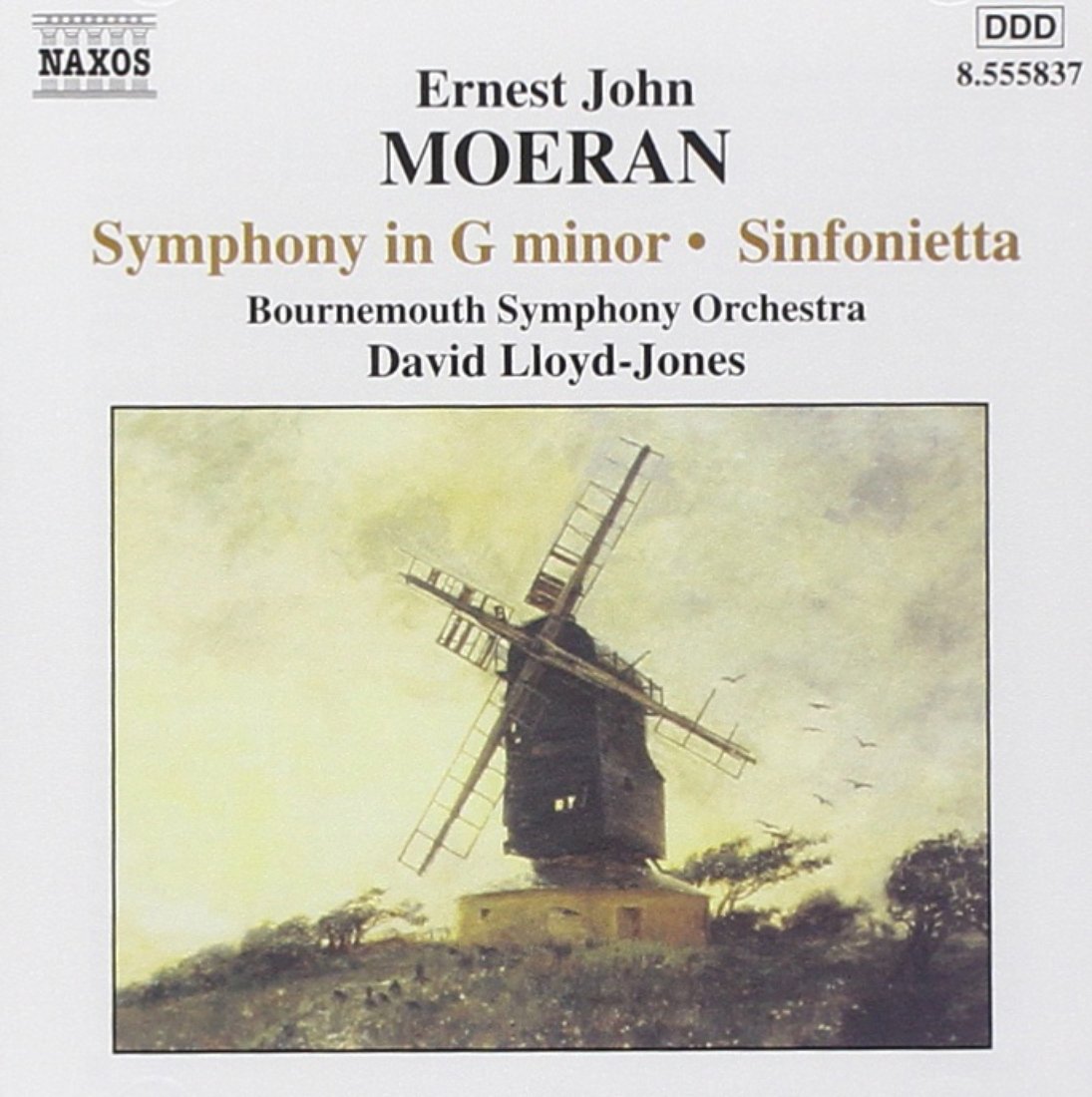 Symphony in G Minor book cover