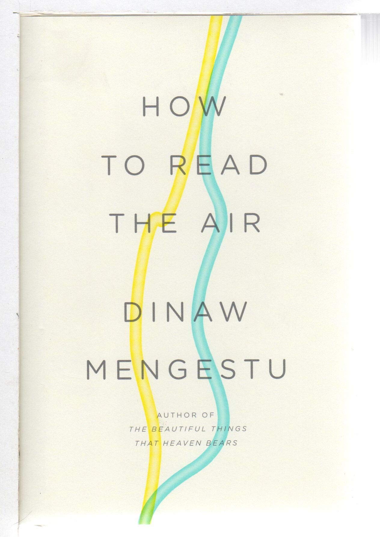 How to Read the Air book cover