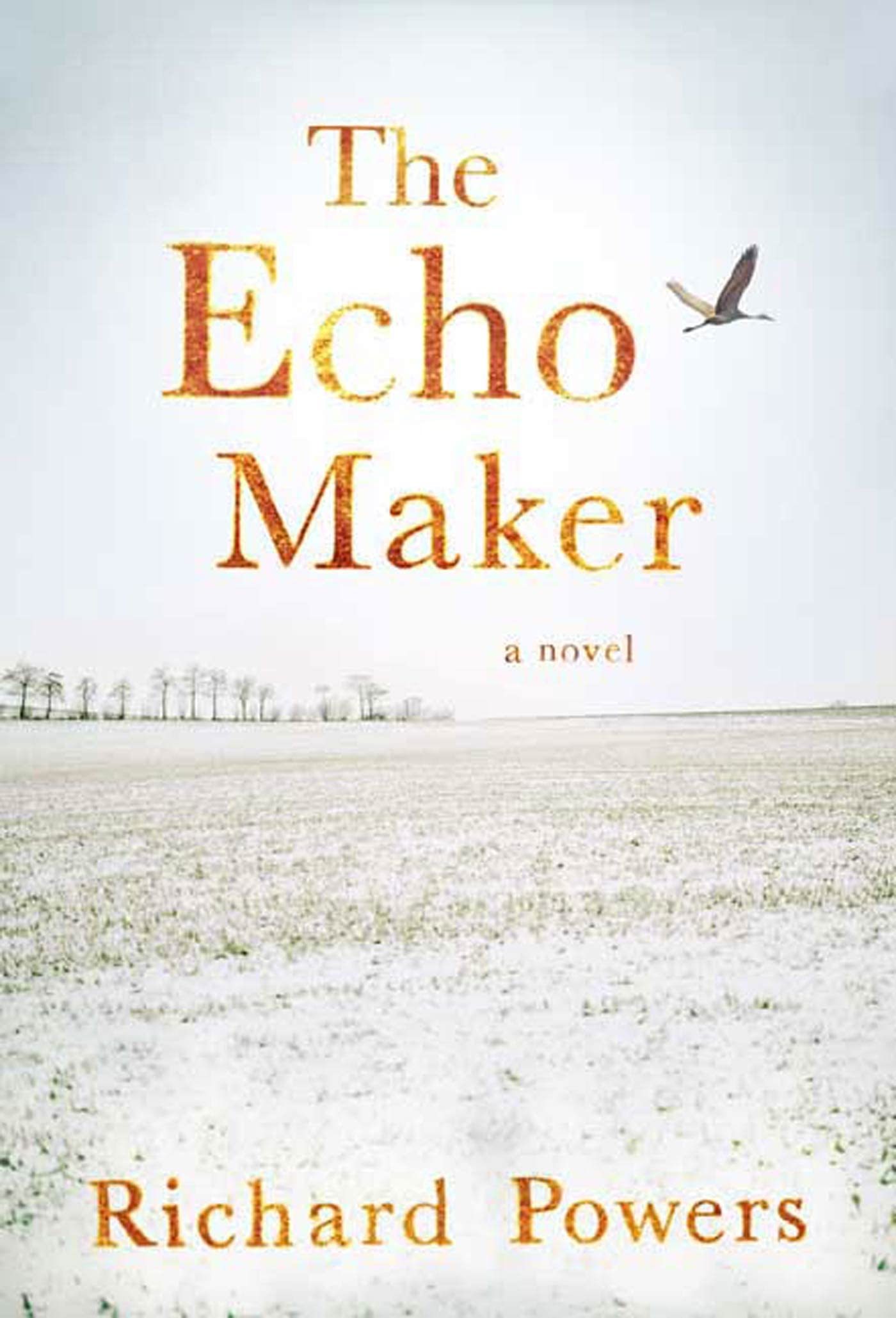 The Echo Maker: A Novel book cover