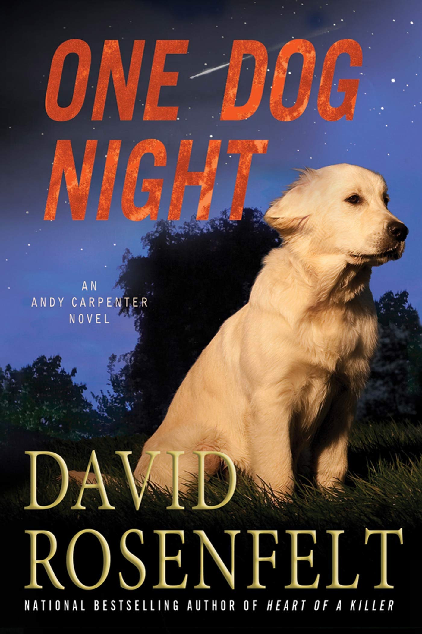 One Dog Night: An Andy Carpenter Novel (An Andy Carpenter Novel, 9) book cover