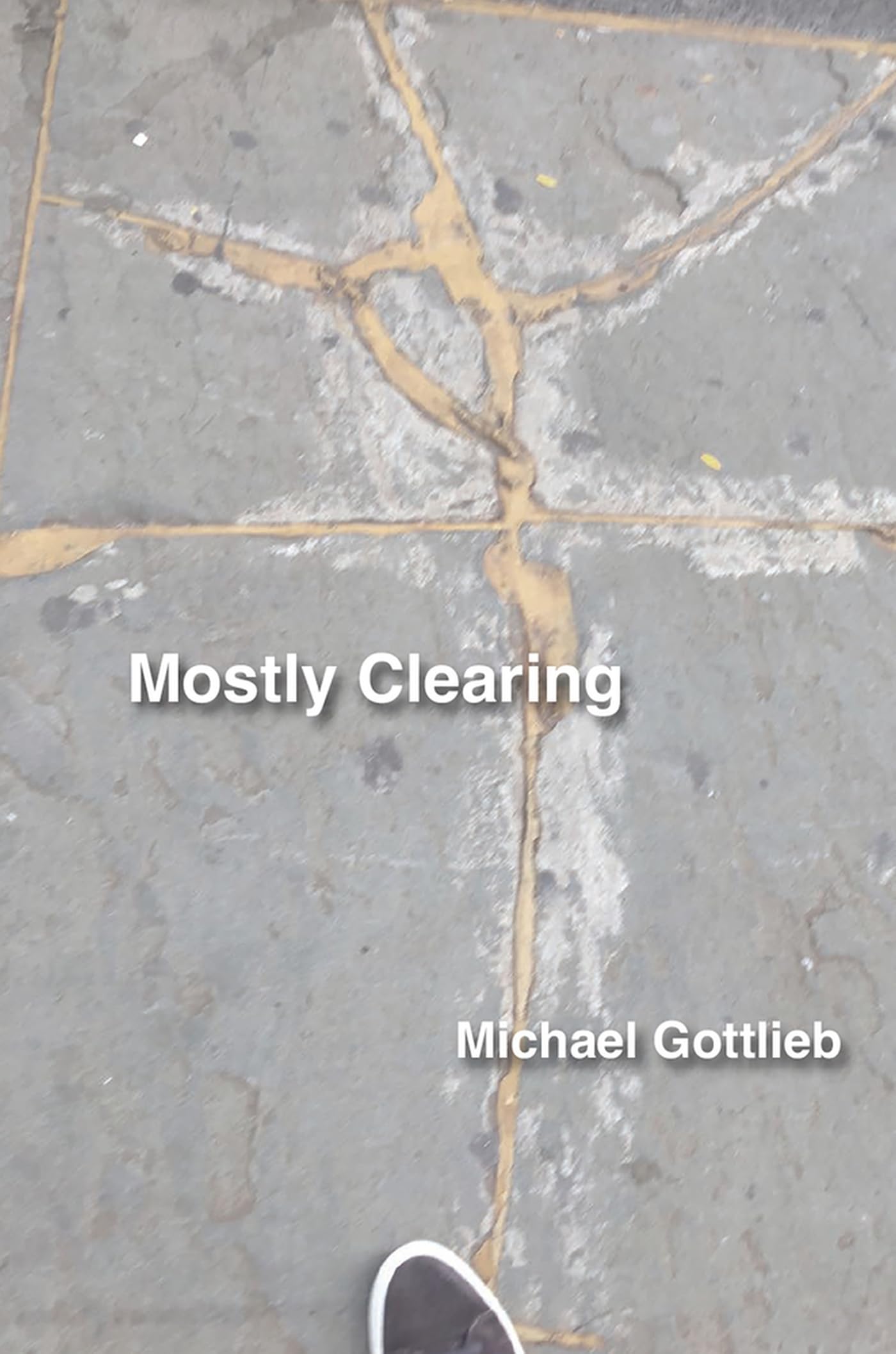 Mostly Clearing book cover