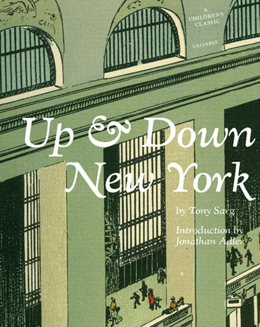 Up & Down New York book cover
