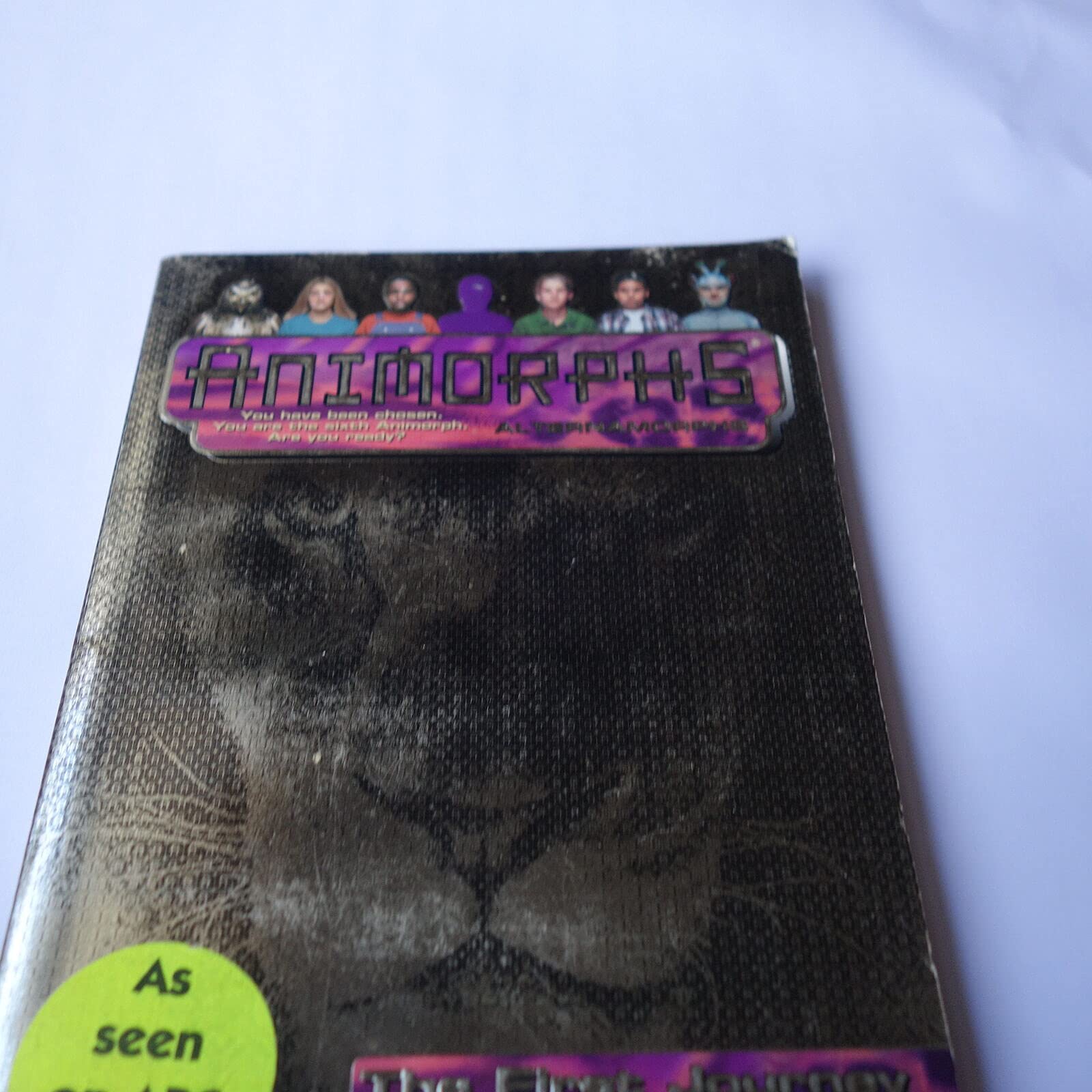 First Journey book cover