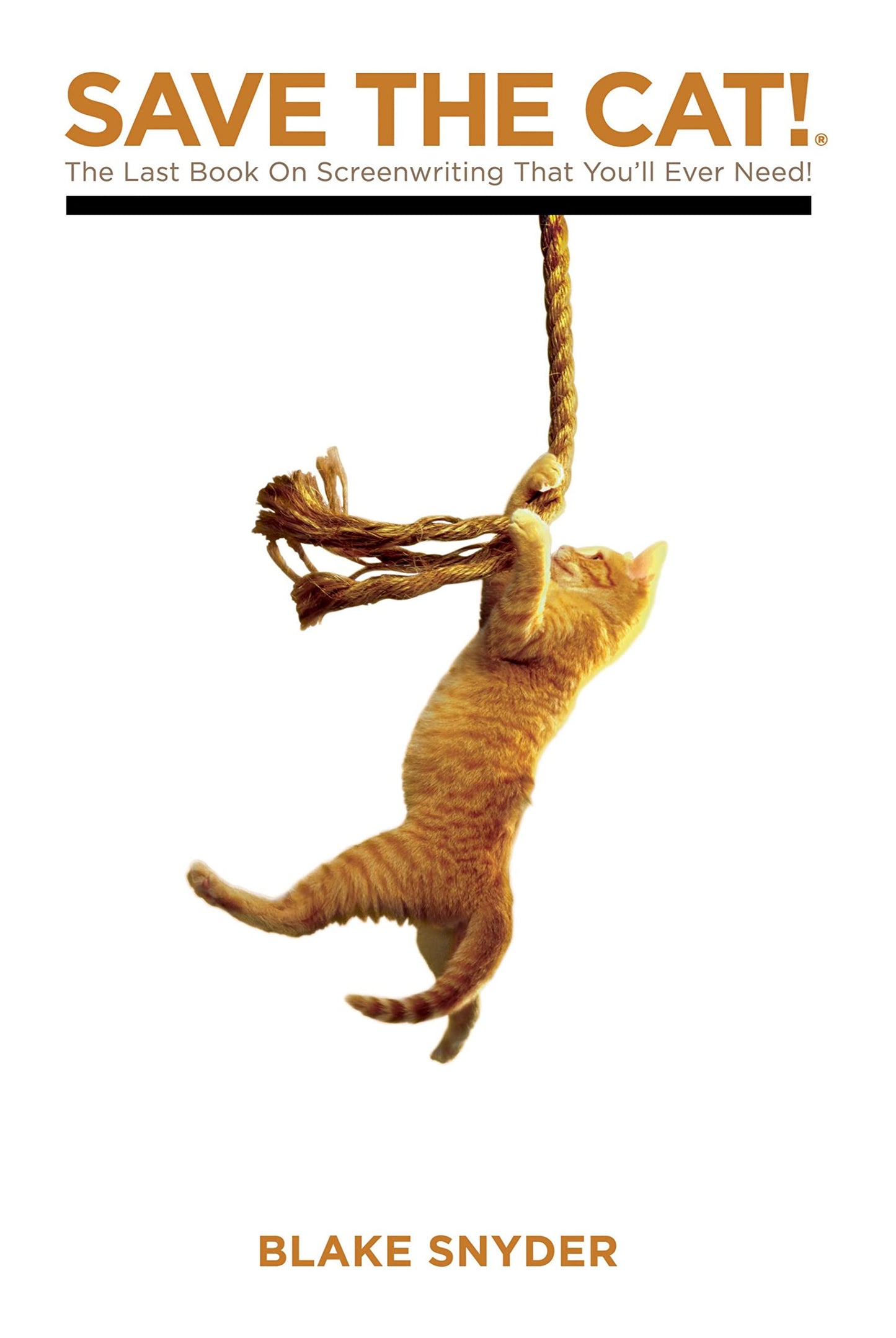 Save the Cat!: The Last Book on Screenwriting You'll Ever Need book cover