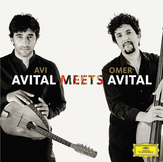 Avital Meets Avital book cover