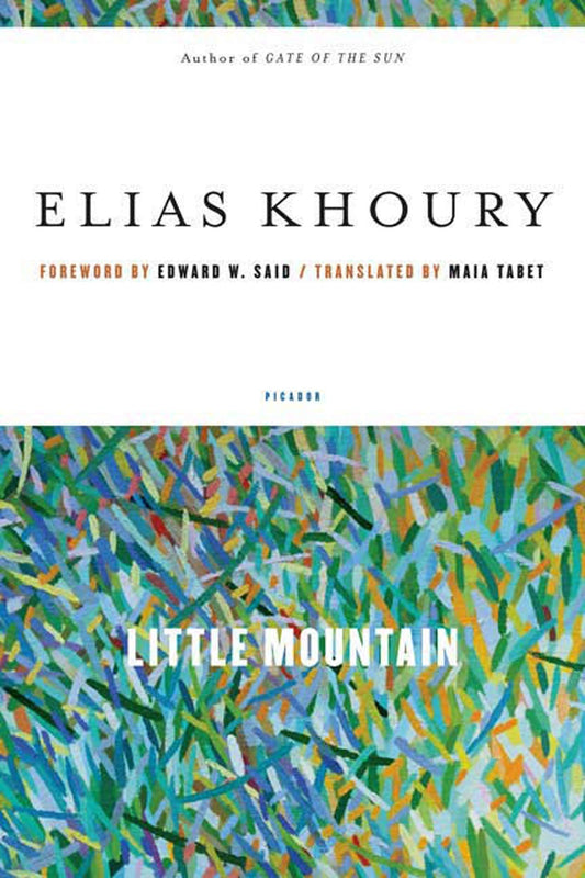 Little Mountain book cover