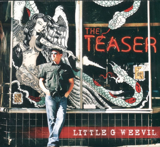 The Teaser book cover