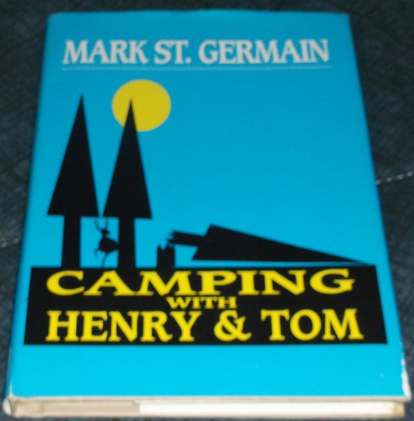 Camping with Henry & Tom book cover