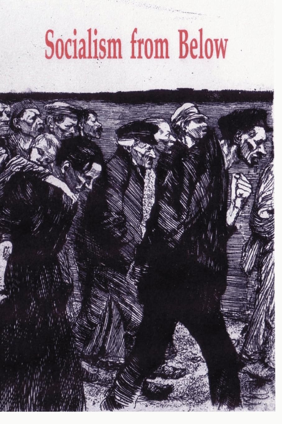 Socialism from Below book cover