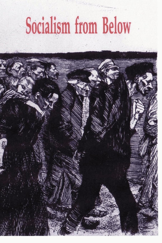 Socialism from Below book cover