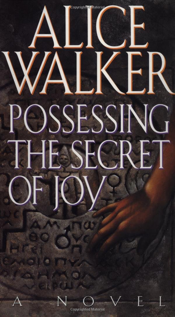 Possessing the Secret of Joy book cover