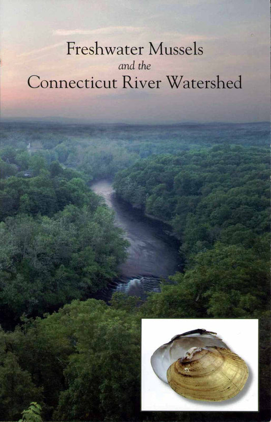 Freshwater Mussels and the Connecticut River Watershed
