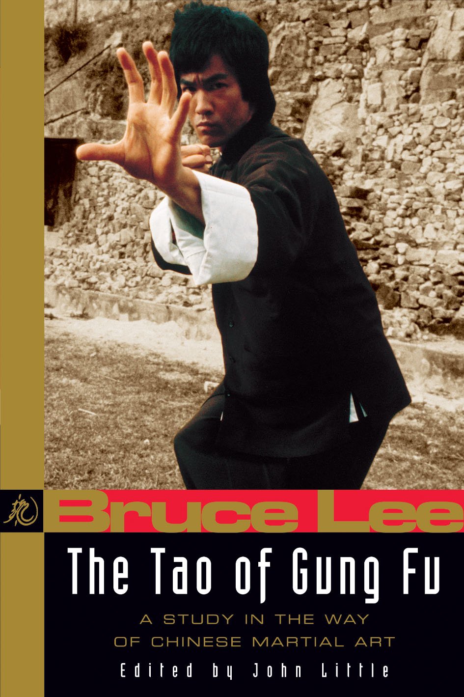 Bruce Lee the Tao of Gung Fu: A Study in the Way of Chinese Martial Art (Original) book cover