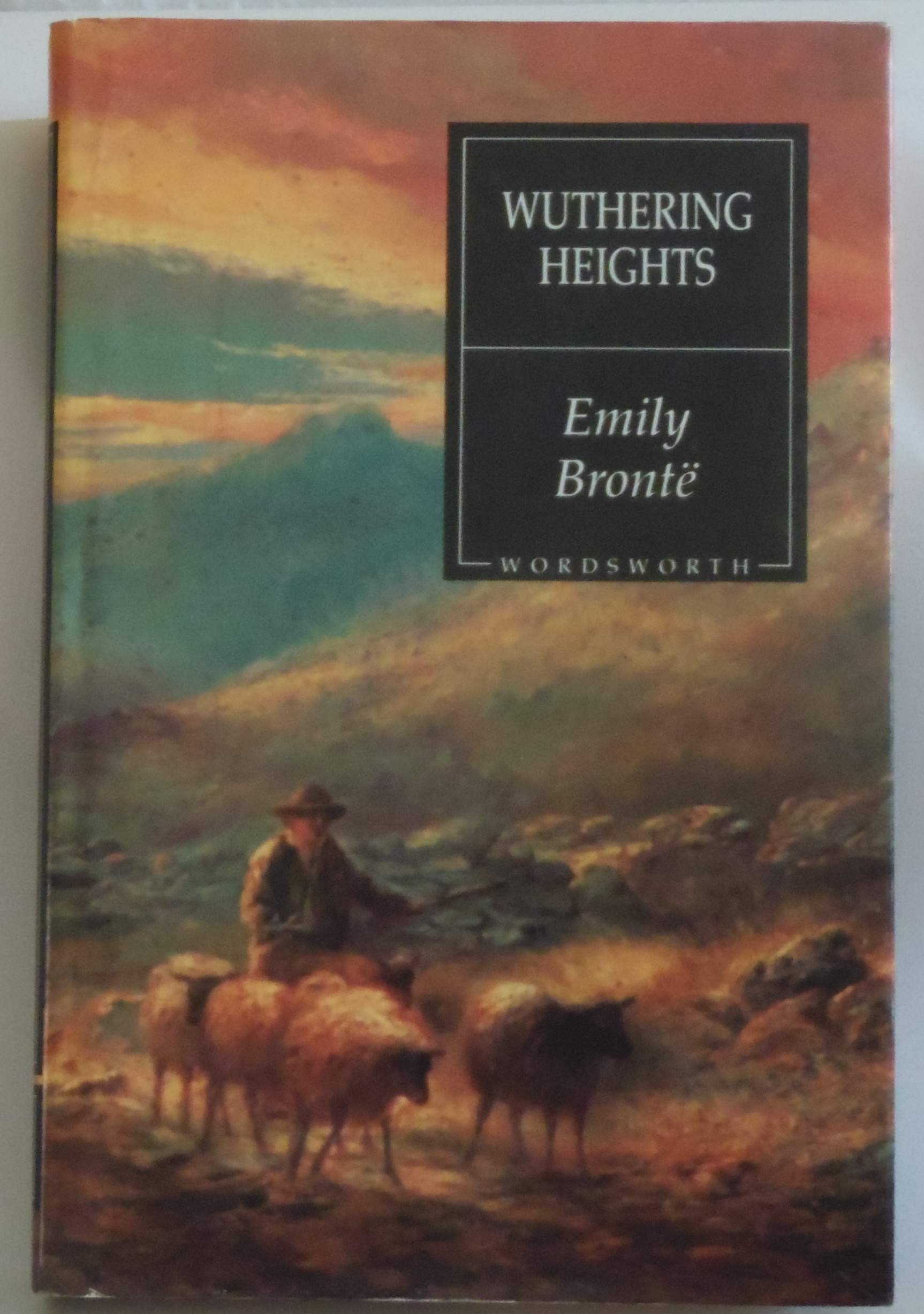 Wuthering Heights book cover