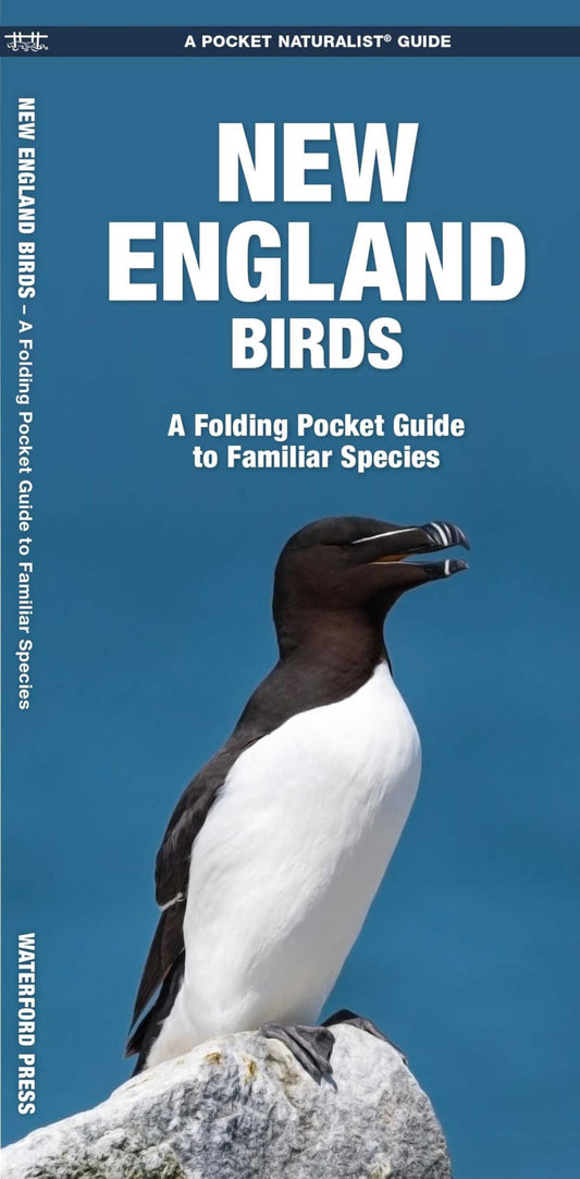 New England Birds book cover