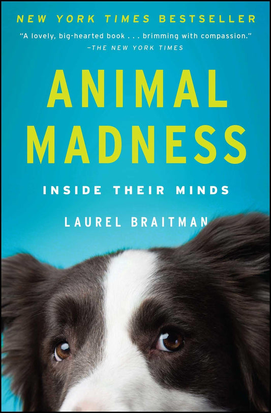 Animal Madness: Inside Their Minds book cover
