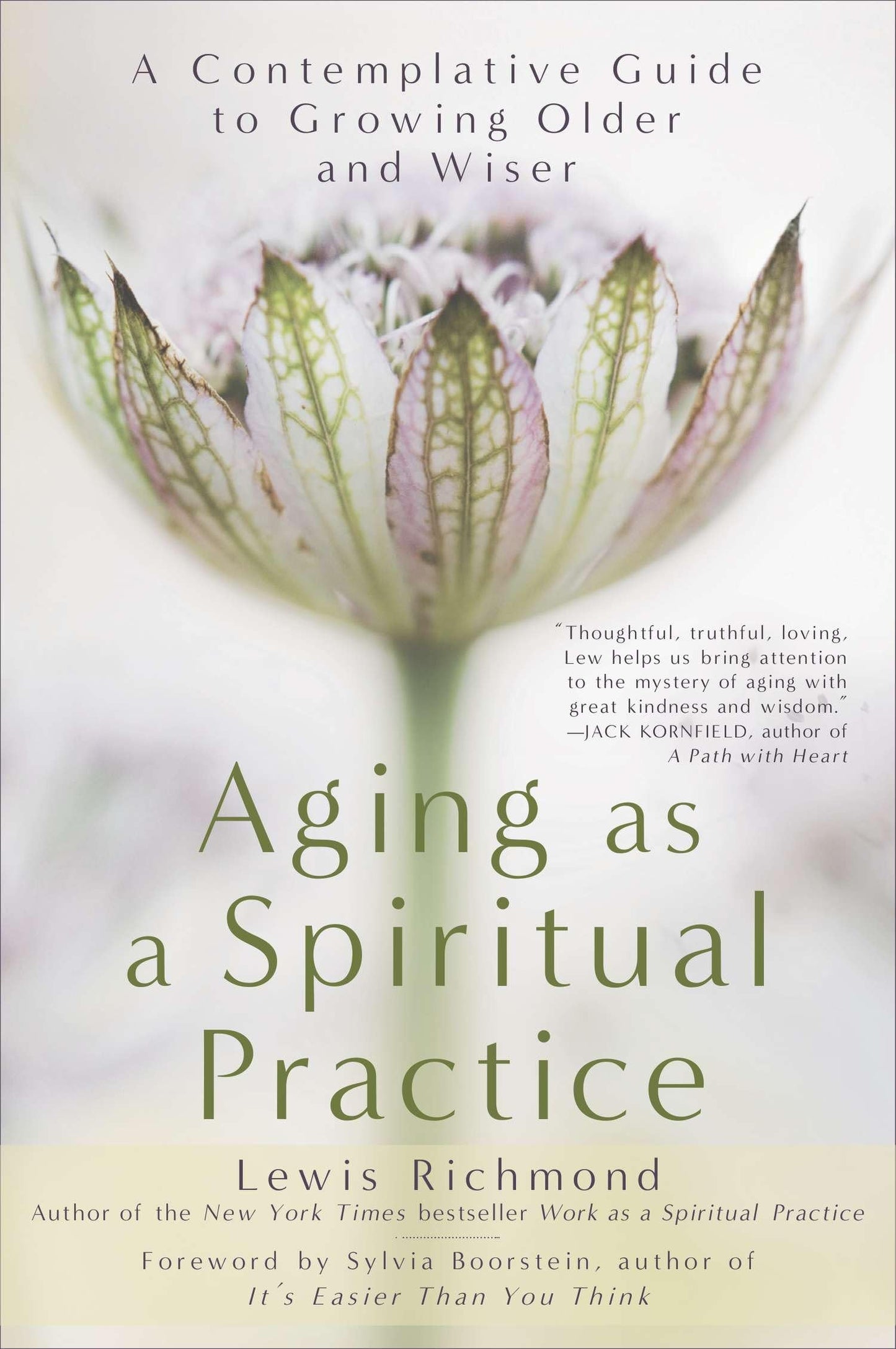 Aging as a Spiritual Practice: A Contemplative Guide to Growing Older and Wiser book cover