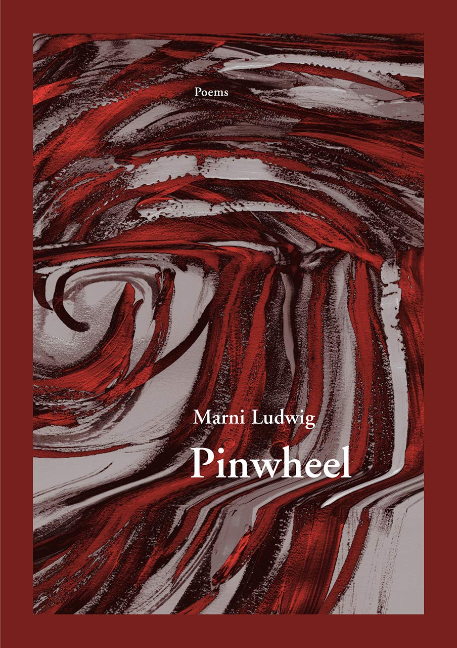 Pinwheel book cover