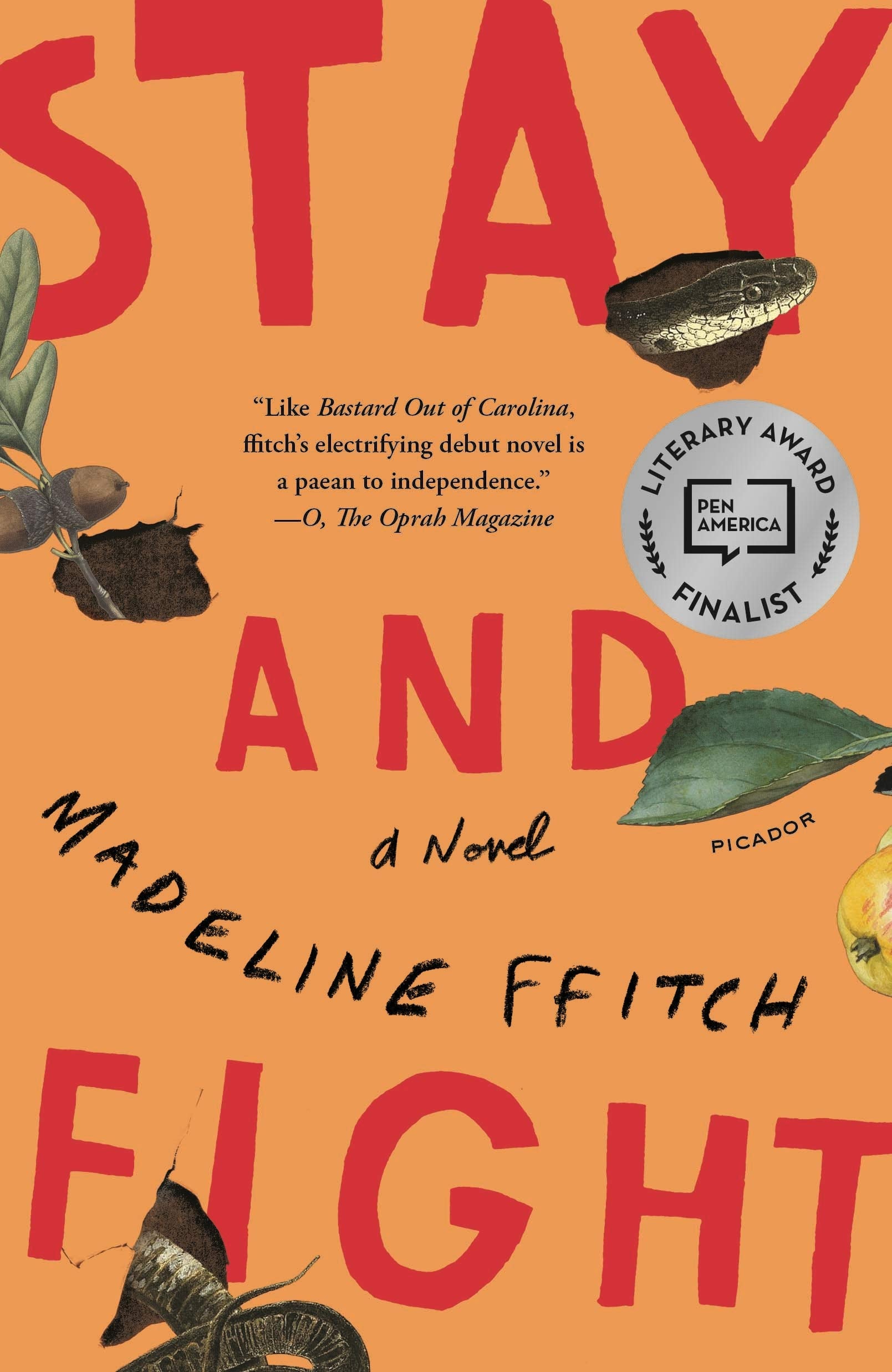 Stay and Fight book cover