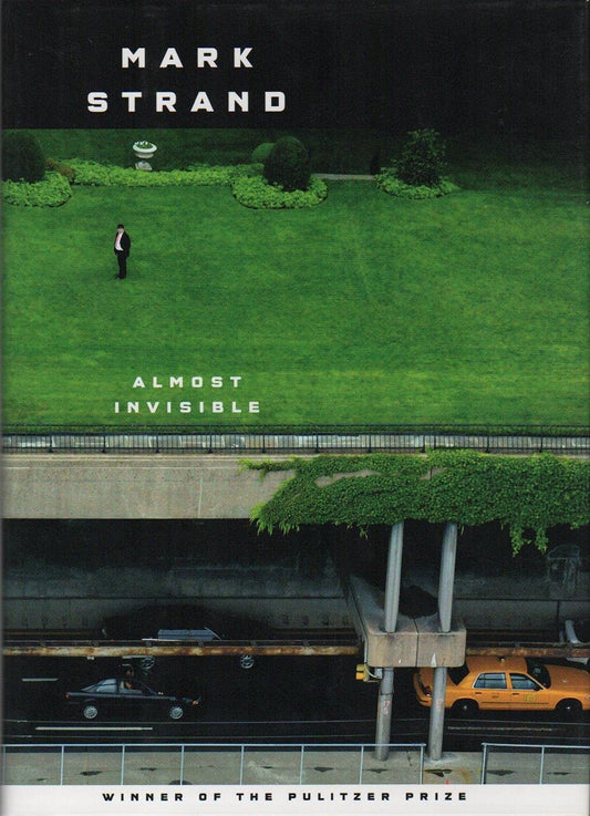 Almost Invisible book cover