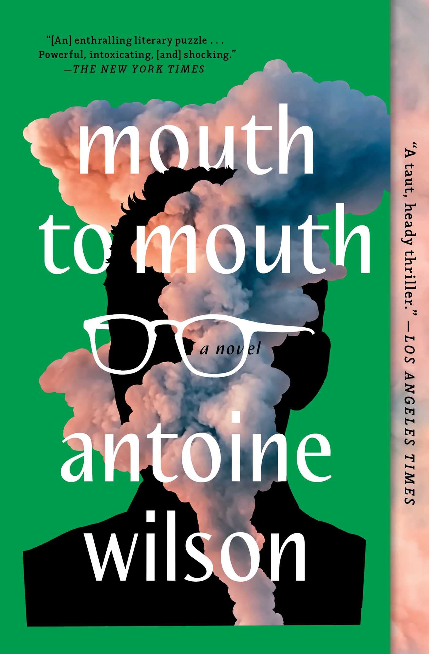 Mouth to Mouth book cover