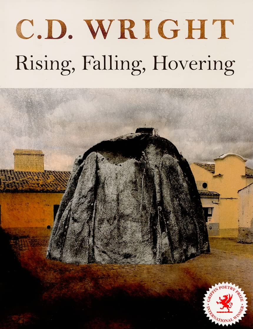 Rising, Falling, Hovering book cover