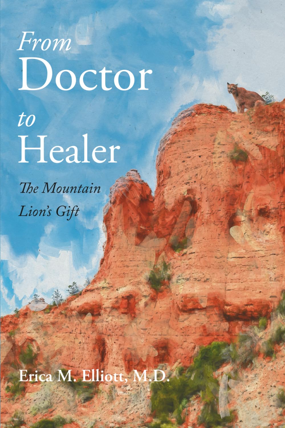 From Doctor to Healer: The Mountain Lion's Gift book cover