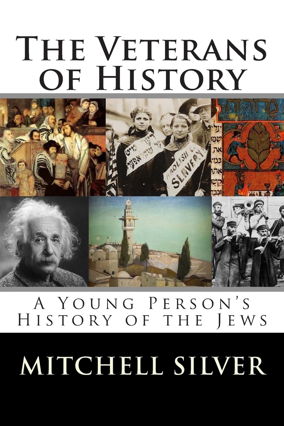 Veterans of History: A Young Person's History of the Jews book cover