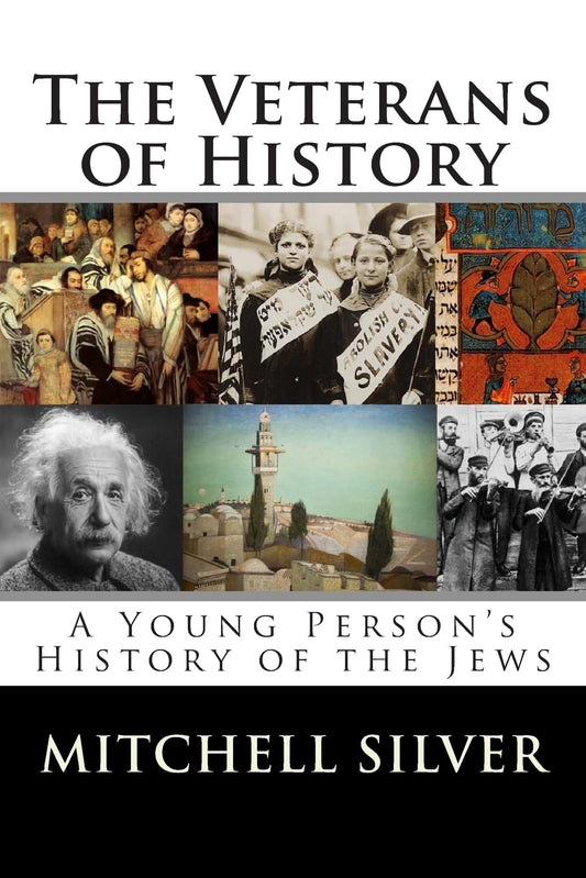 Veterans of History: A Young Person's History of the Jews book cover